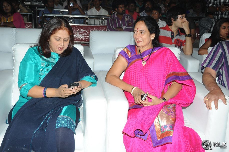 Current-Theega-Movie-Success-Meet